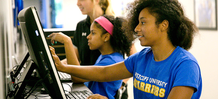 Photo of student using computer
