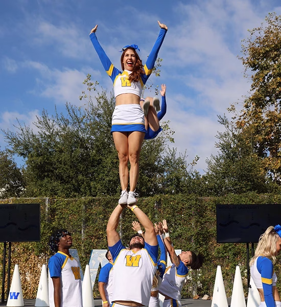 Westcliff Athletics, Cheerleaders