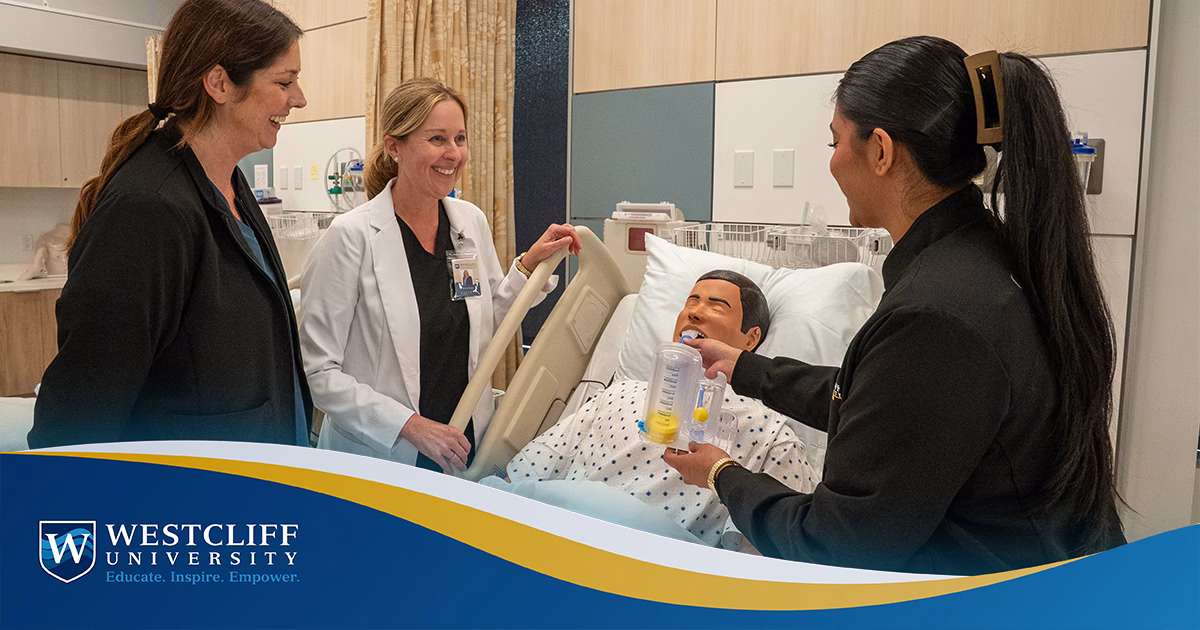 Bachelor of Science in Nursing (BSN) Programs in California: A Complete Guide for Students
