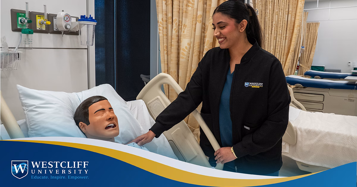 BSN vs RN: How Each Path Builds a Successful Nursing Career